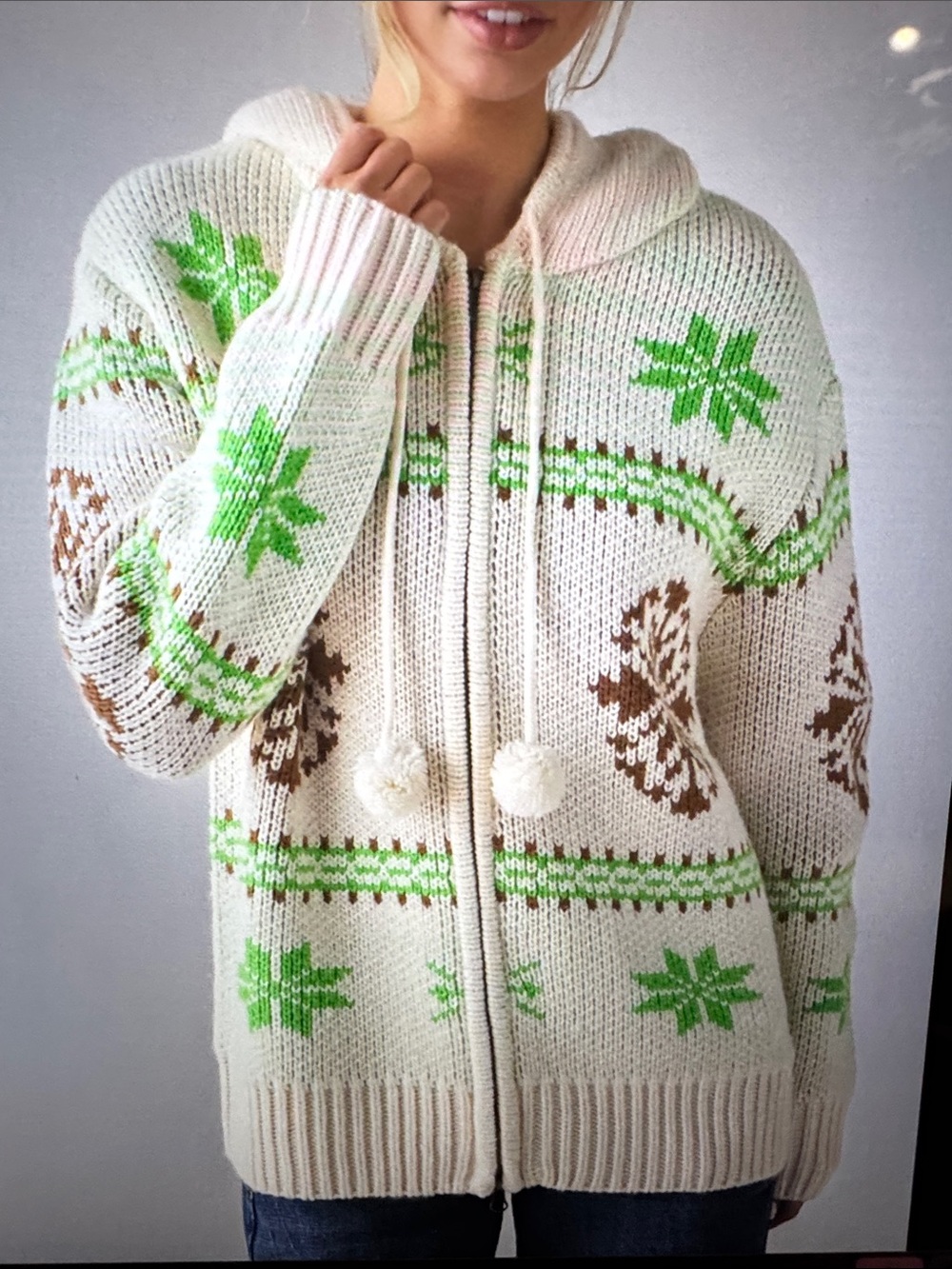 BDG Madison Mountain Fair Isle Oversized Full-Zip Hoodie Sweater
